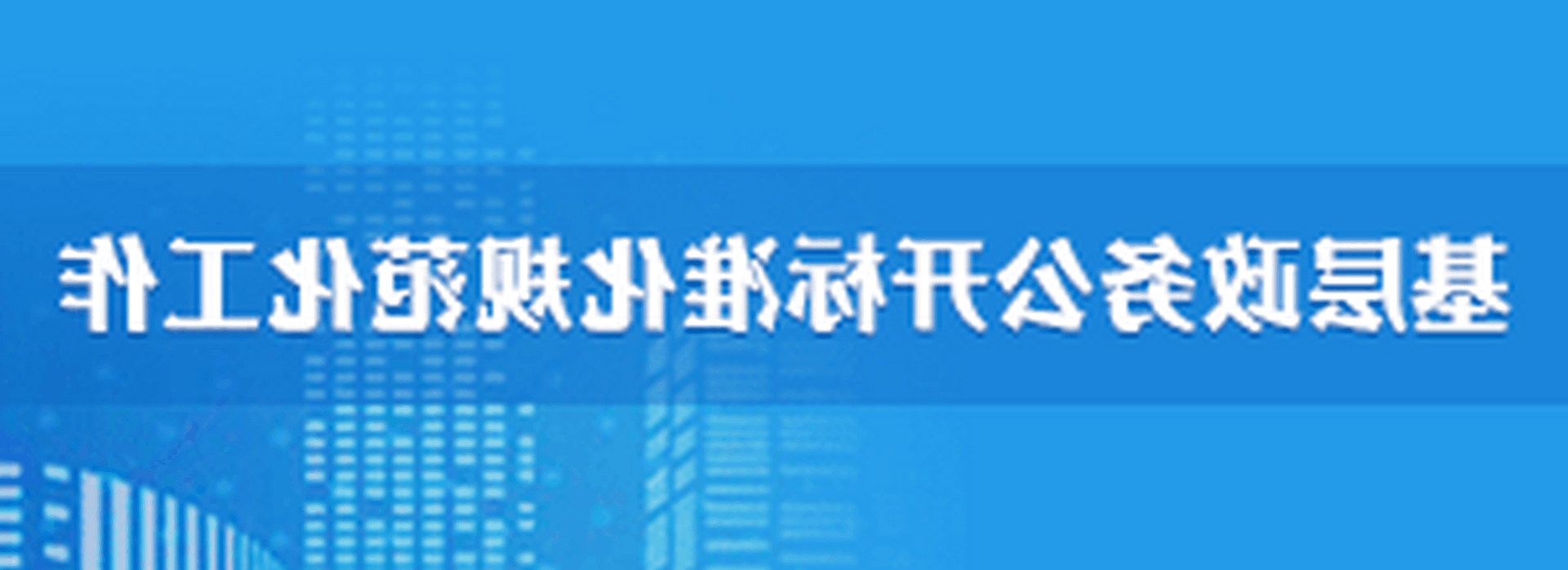񹫿׼淶